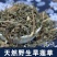 旱莲草今年新货批发零售各种中草药花草茶
