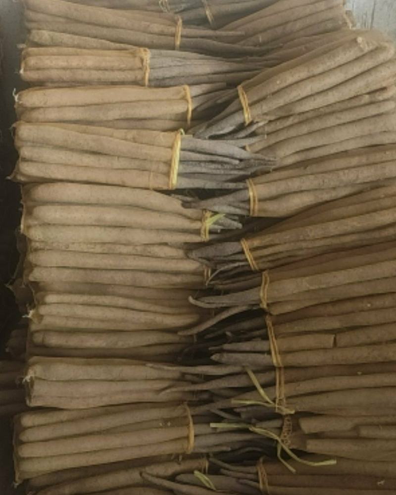 精品网袋山药大量现货