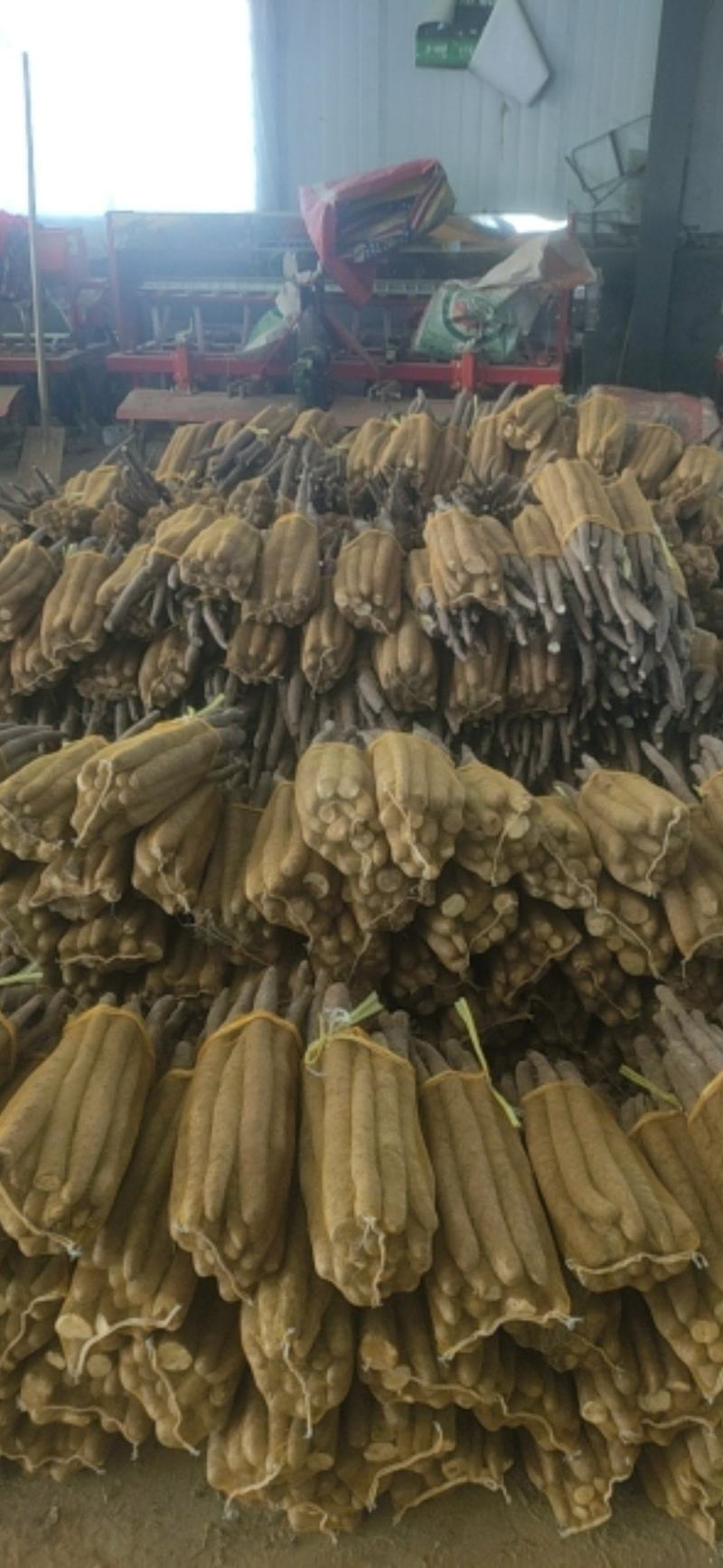 精品网袋山药大量现货