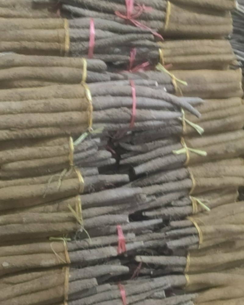 精品网袋山药大量现货