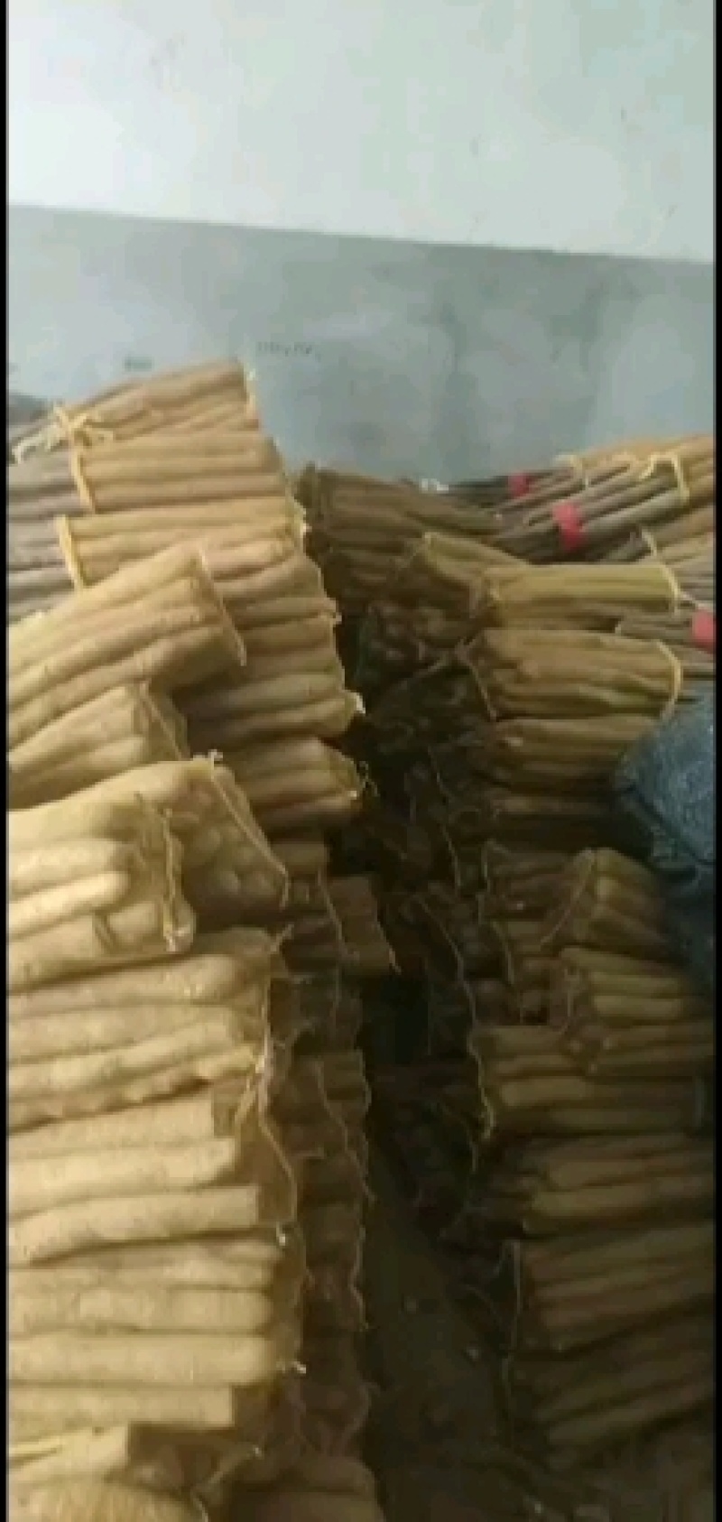 精品网袋山药大量现货