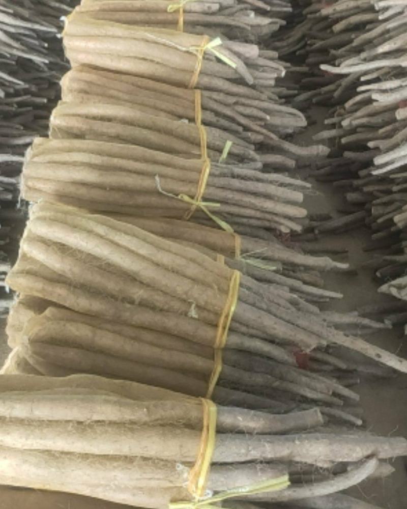 精品网袋山药大量现货