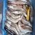 海捕大虾20-30规格21-25，10-20