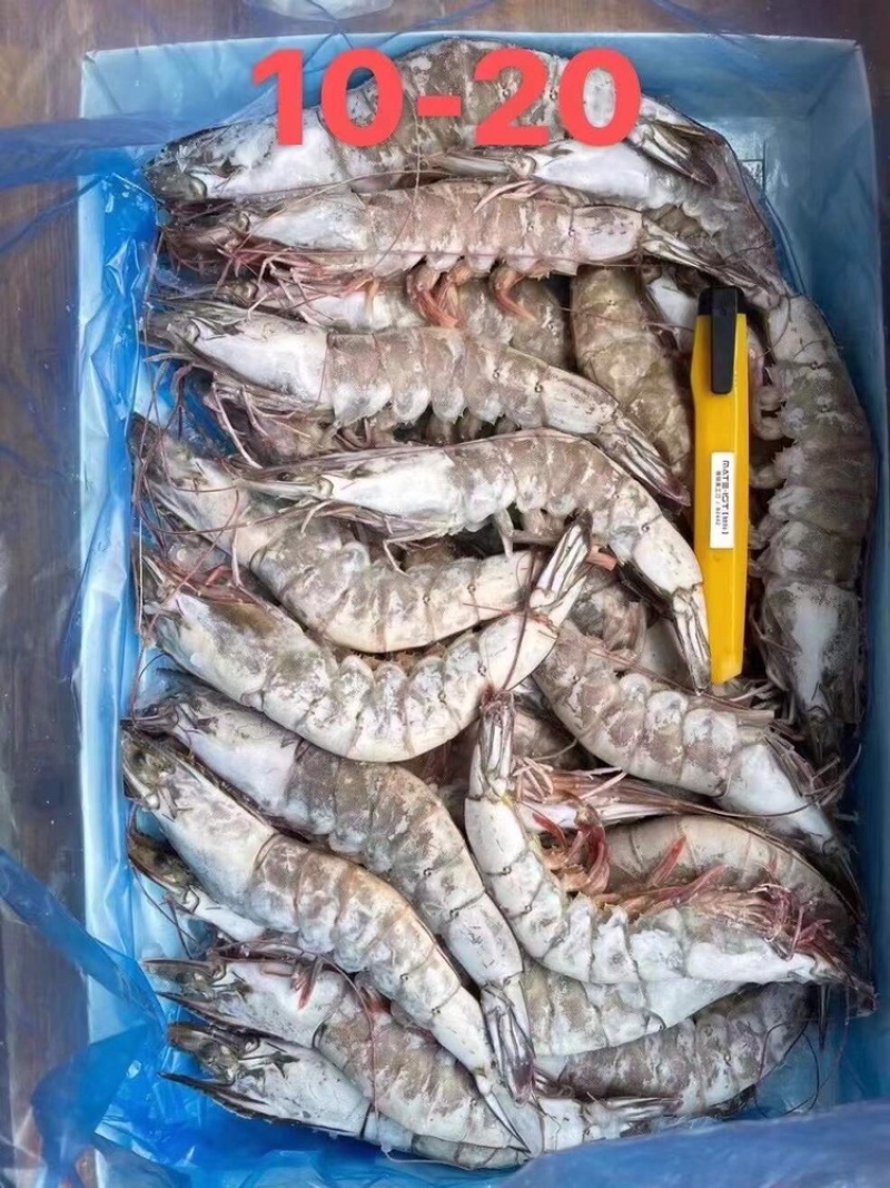 海捕大虾20-30规格21-25，10-20
