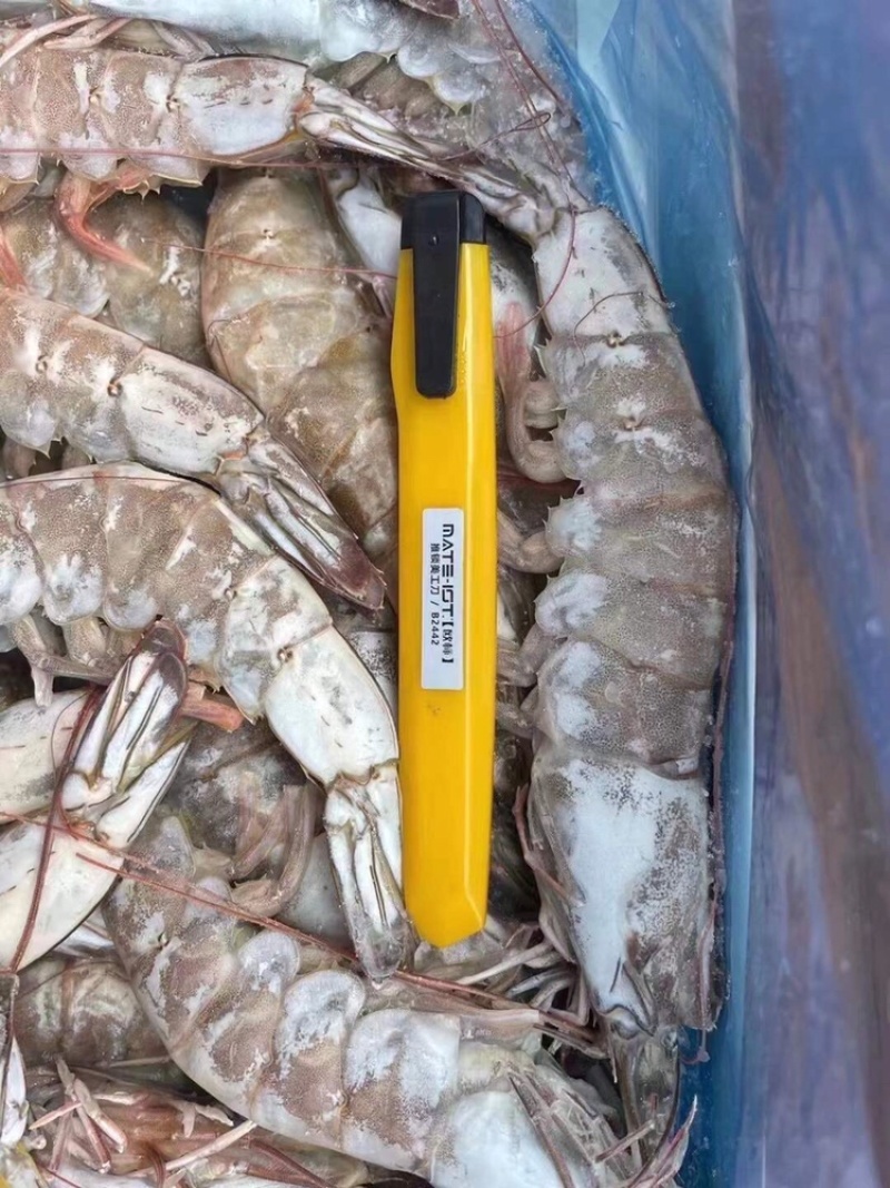 海捕大虾20-30规格21-25，10-20