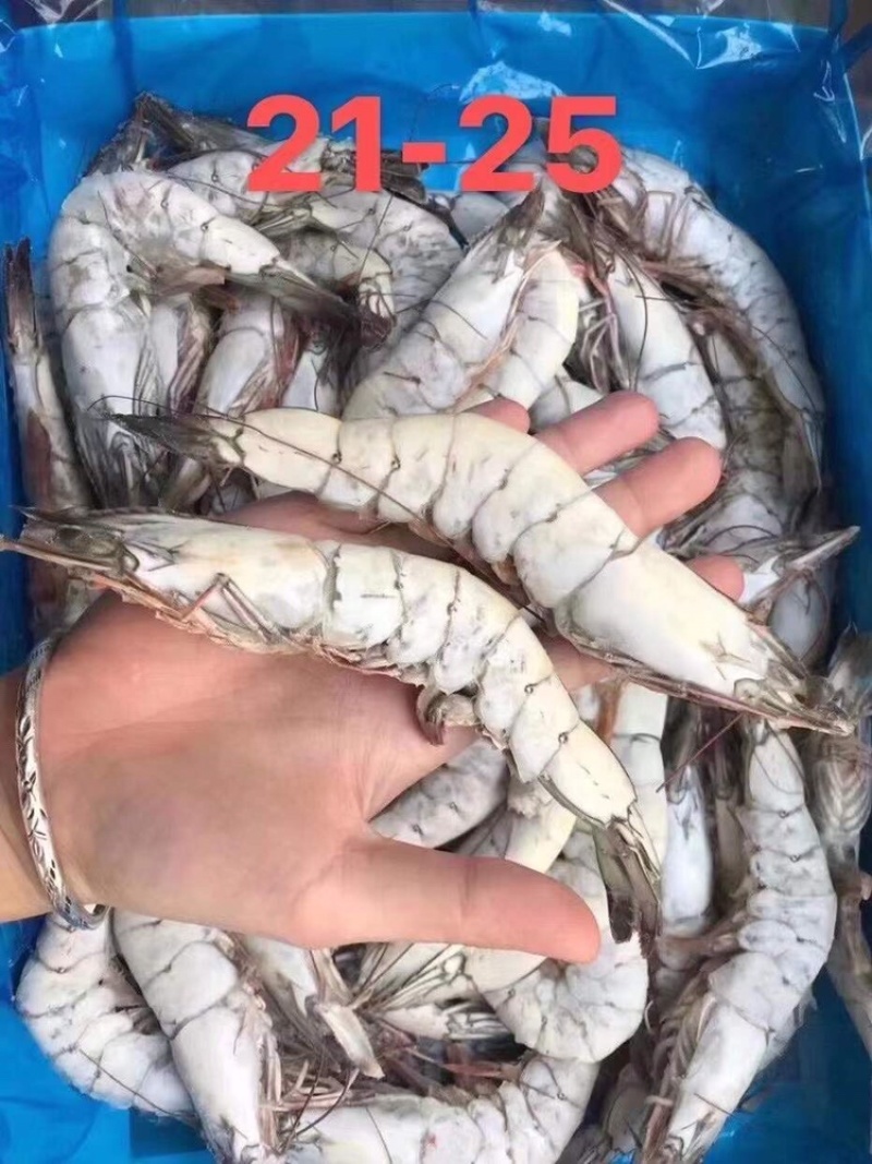 海捕大虾20-30规格21-25，10-20