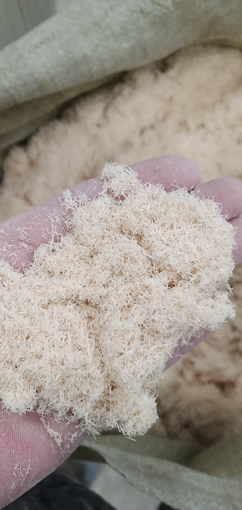 厂家直销优质松木粉木屑制香造纸花艺栽种专用。