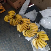 特价香蕉来了老铁们回家挣钱去吧，质量很好