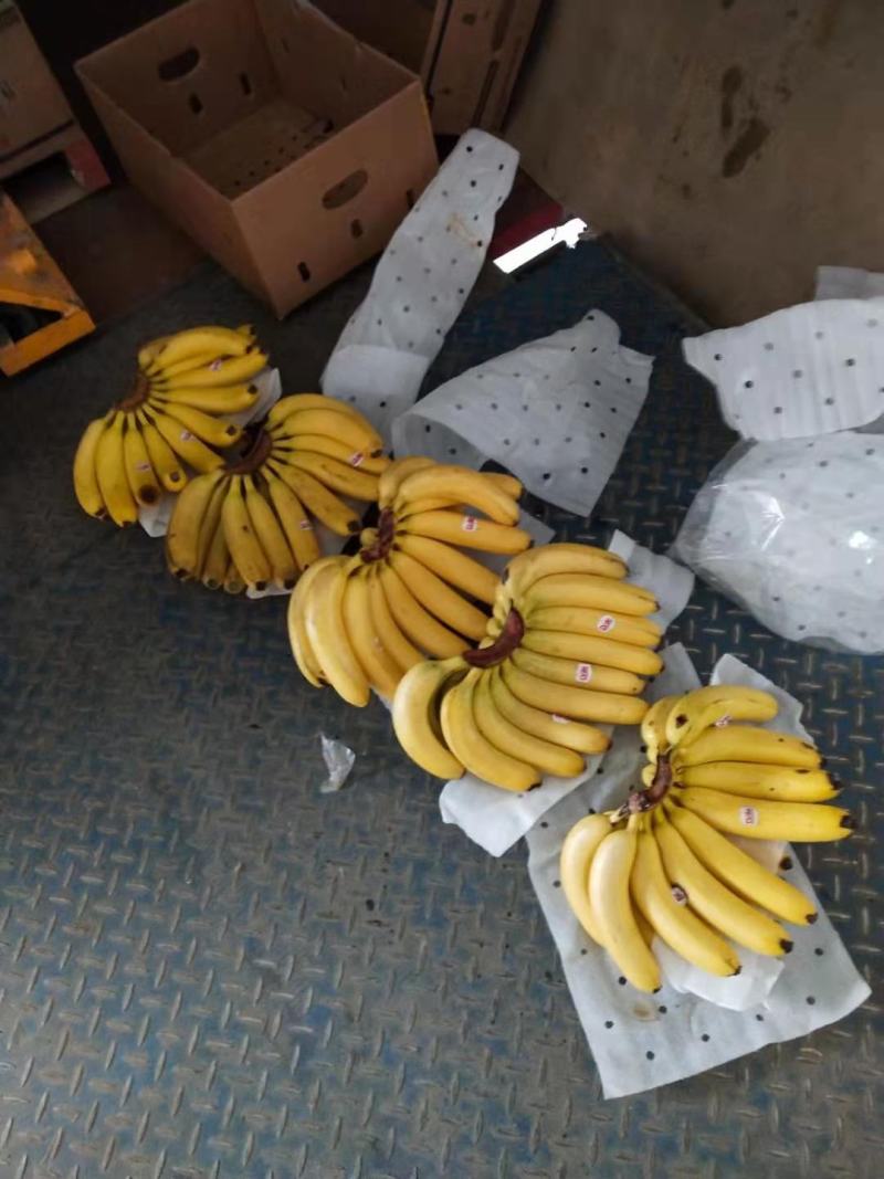 特价香蕉来了老铁们回家挣钱去吧，质量很好