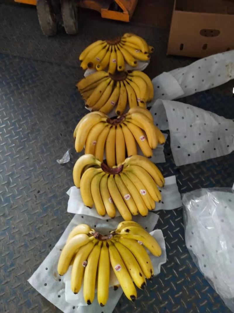 特价香蕉来了老铁们回家挣钱去吧，质量很好