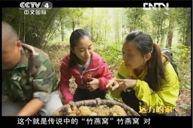 新鲜竹燕窝冻品竹花多次用山泉水清洗精心挑出好品质