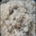 新鲜竹燕窝冻品竹花多次用山泉水清洗精心挑出好品质