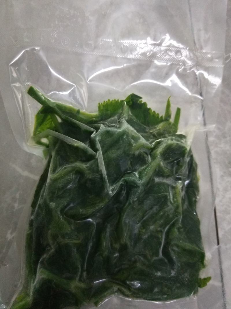 新鲜桑叶桑芽.桑芽菜