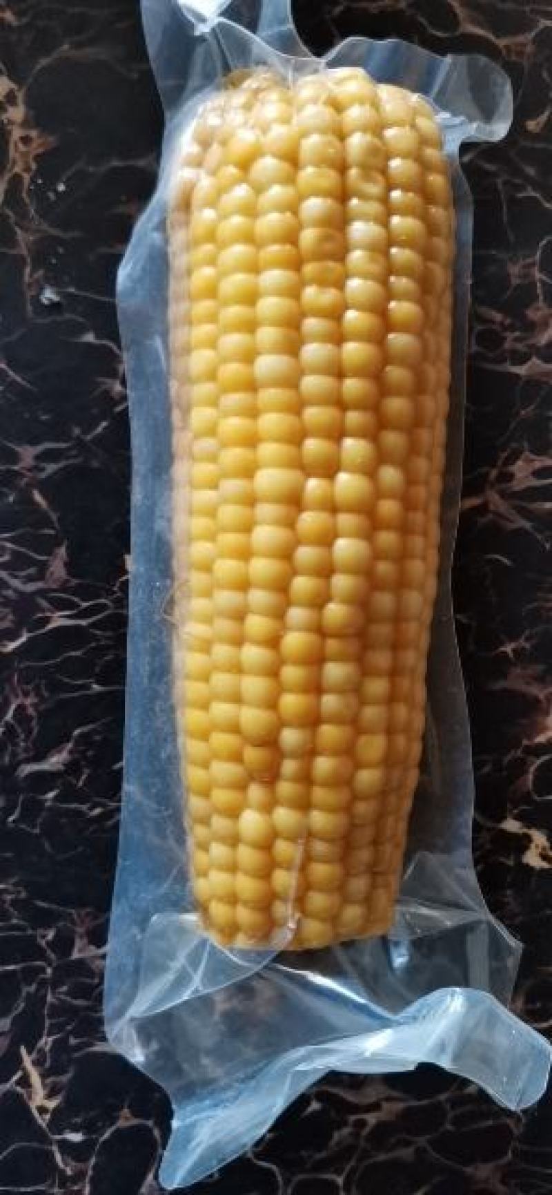 小黄粘玉米黑龙江特产