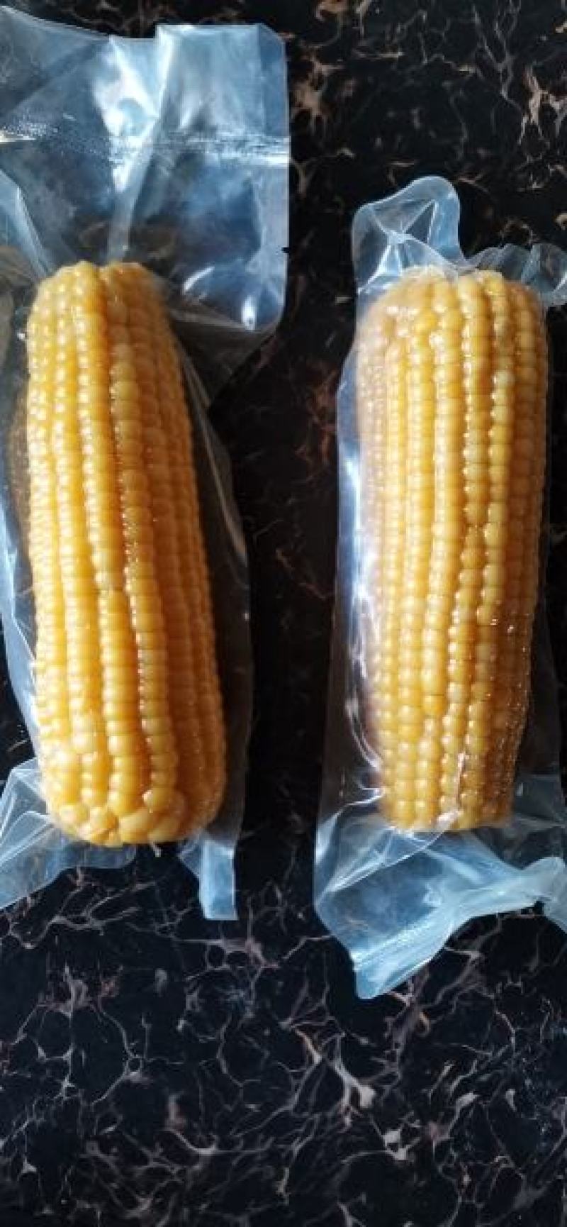 小黄粘玉米黑龙江特产