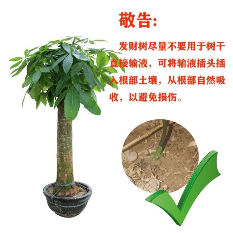 大树营养液树木吊针液激活液乔木移栽桂花吊袋液复壮催芽生根