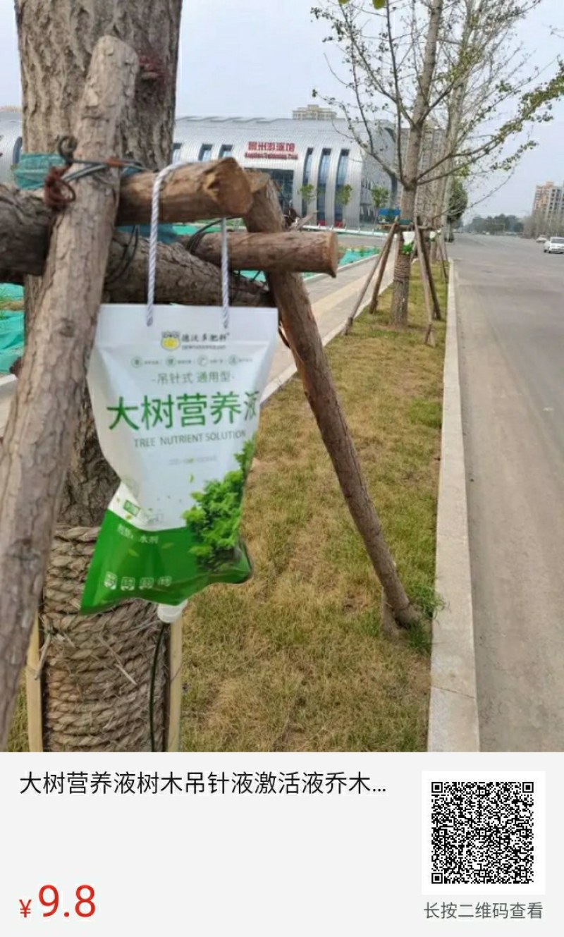 大树营养液树木吊针液激活液乔木移栽桂花吊袋液复壮催芽生根