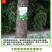 大树营养液树木吊针液激活液乔木移栽桂花吊袋液复壮催芽生根