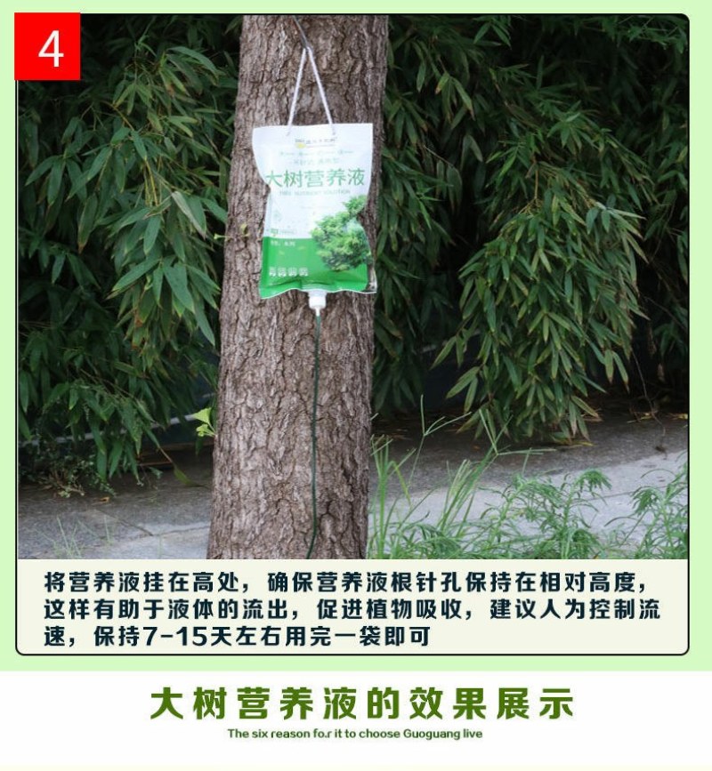 大树营养液树木吊针液激活液乔木移栽桂花吊袋液复壮催芽生根