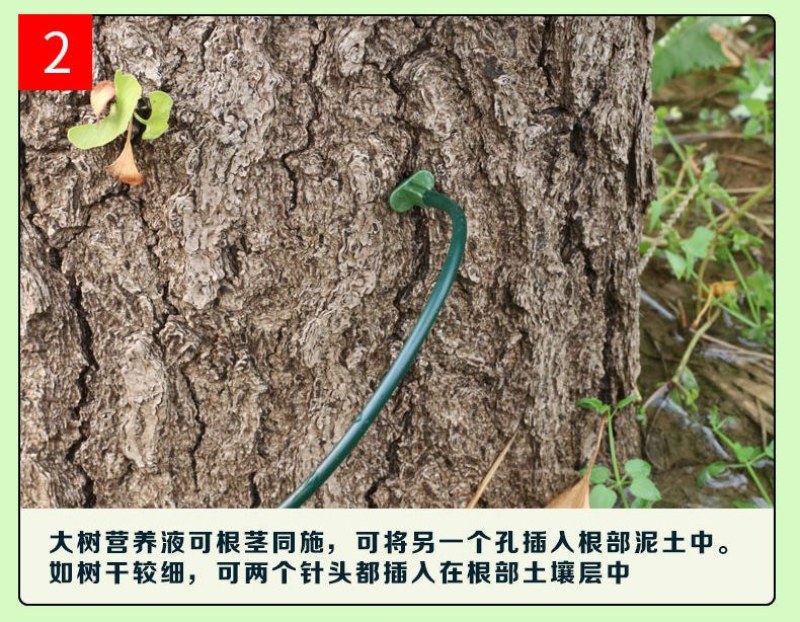 大树营养液树木吊针液激活液乔木移栽桂花吊袋液复壮催芽生根