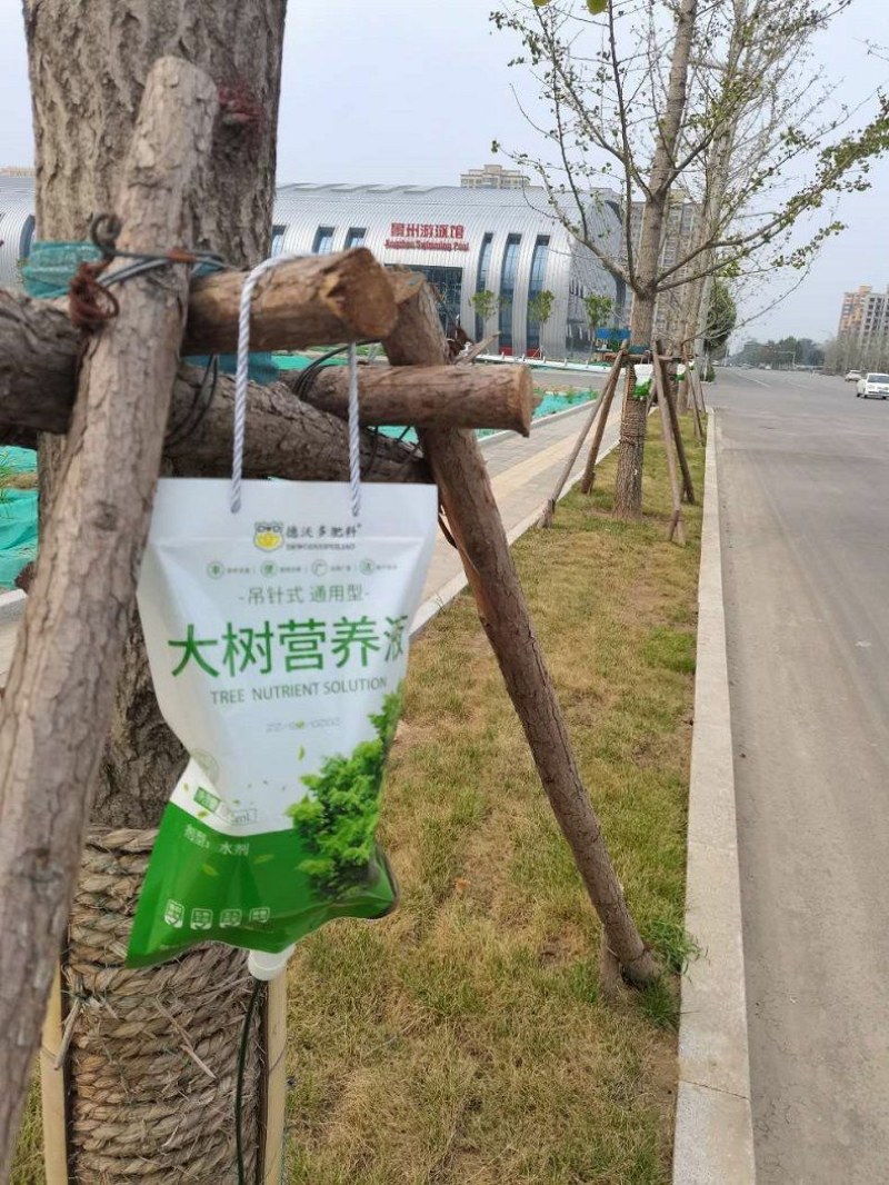 大树营养液树木吊针液激活液乔木移栽桂花吊袋液复壮催芽生根