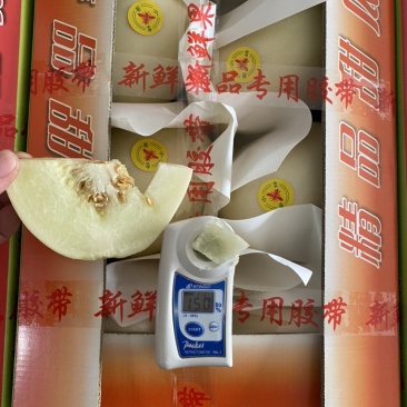 产地新鲜直达黄金瓜(丰田瓜)