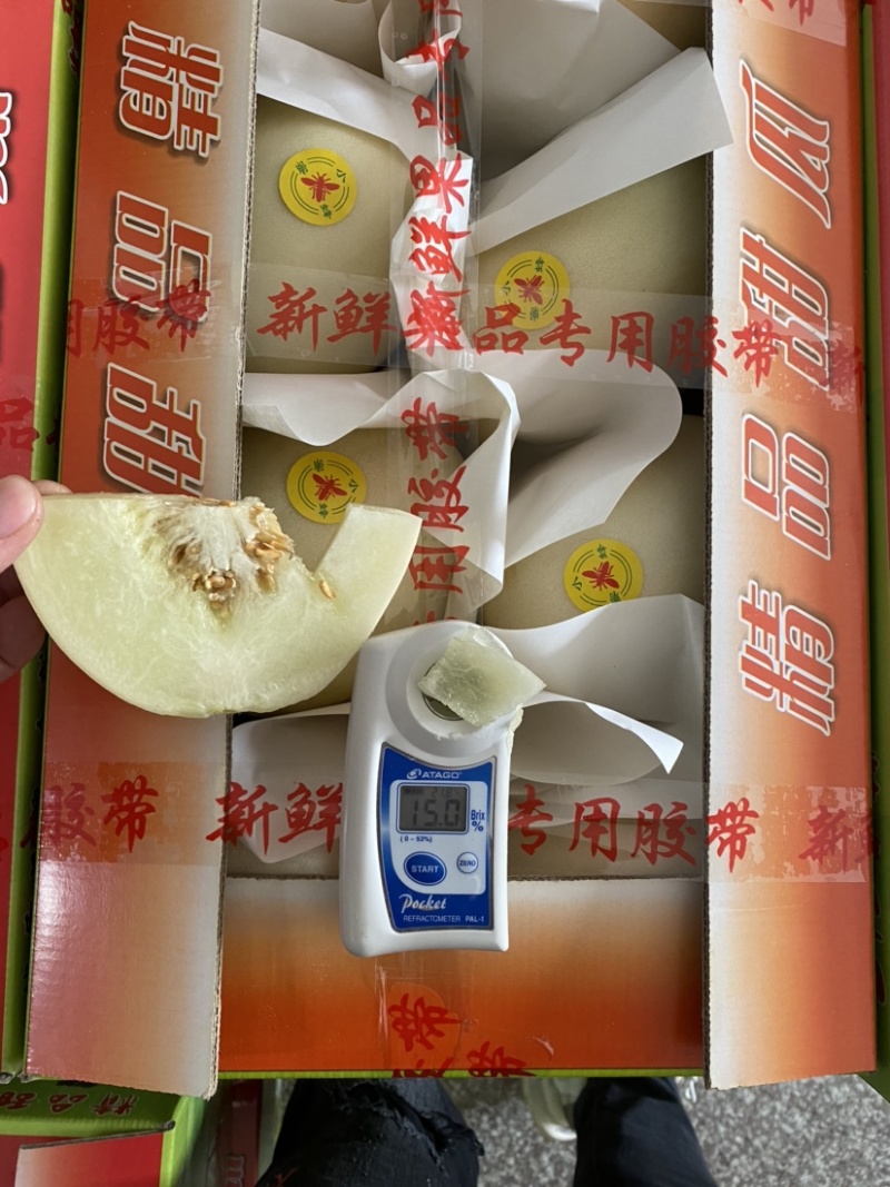 产地新鲜直达黄金瓜(丰田瓜)