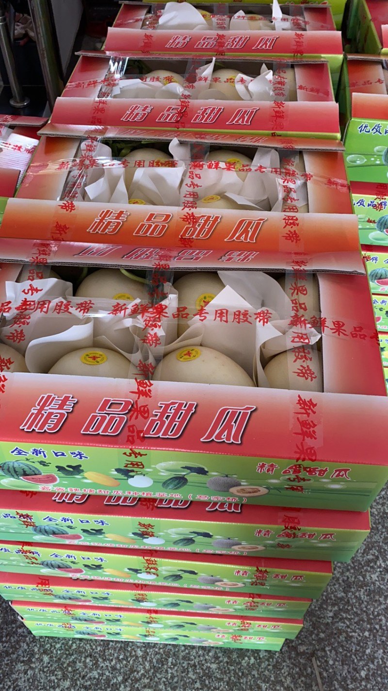产地新鲜直达黄金瓜(丰田瓜)