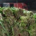 梁山精品陆地红根韭菜大量上市量大好货质优