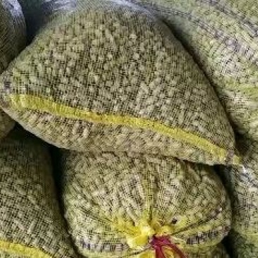 鲜花生人工机选精选果！发全国