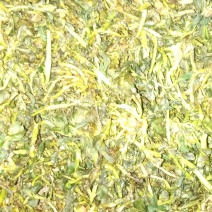 泽漆猫眼草野生纯净干鲜都可有需要的提前联系