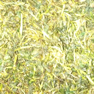 泽漆猫眼草野生纯净干鲜都可有需要的提前联系