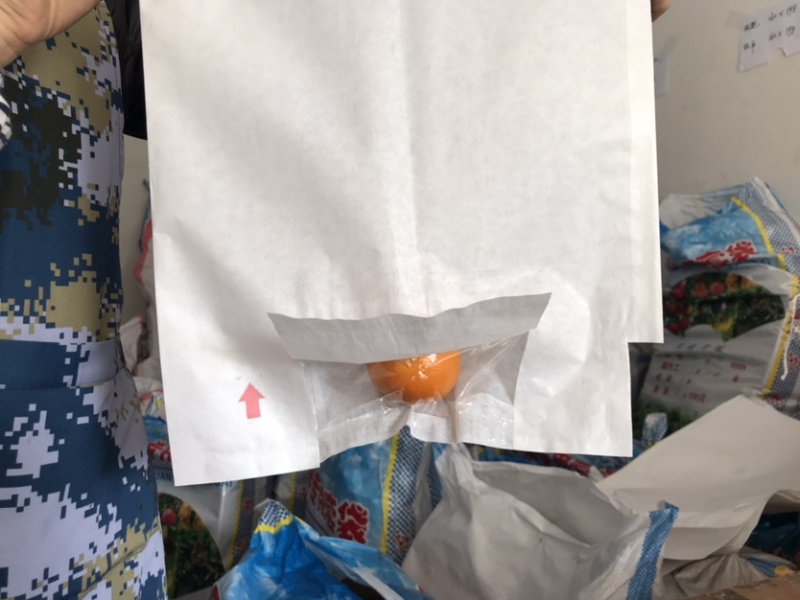 水果套袋莲雾套袋释迦袋芒果袋开窗袋加厚莲雾袋芒果莲雾果袋