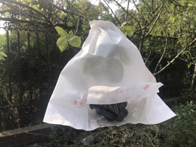 水果套袋莲雾套袋释迦袋芒果袋开窗袋加厚莲雾袋芒果莲雾果袋