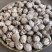 出口天白大花菇厚肉剪脚500g产地一手货源批发干花菇冬菇