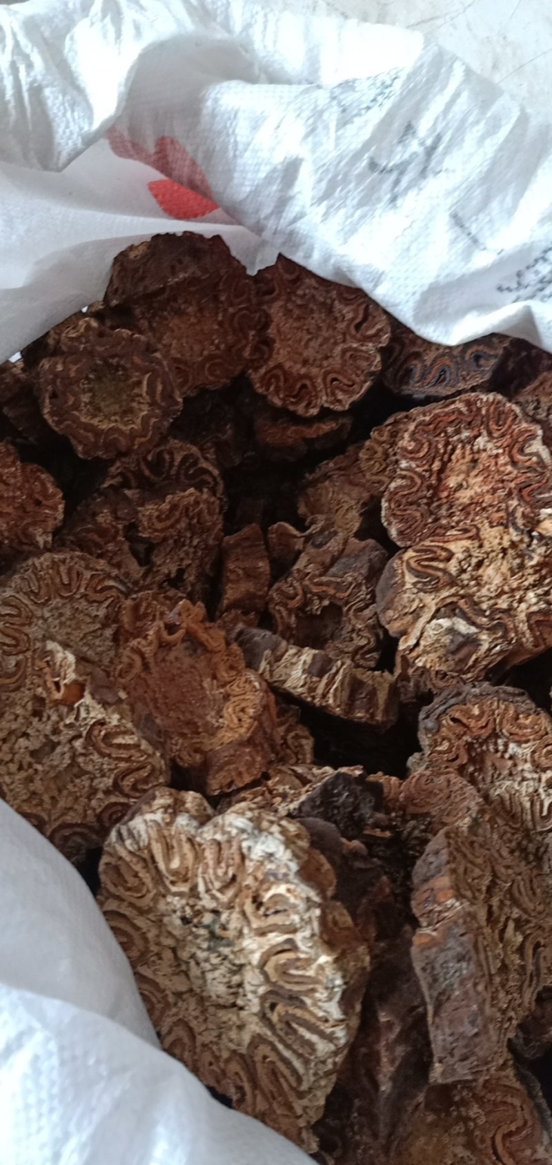 龙骨风飞天禽捞无硫足干新货无硫新货
