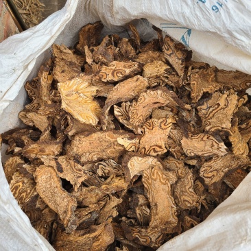龙骨风飞天禽捞无硫足干新货无硫新货