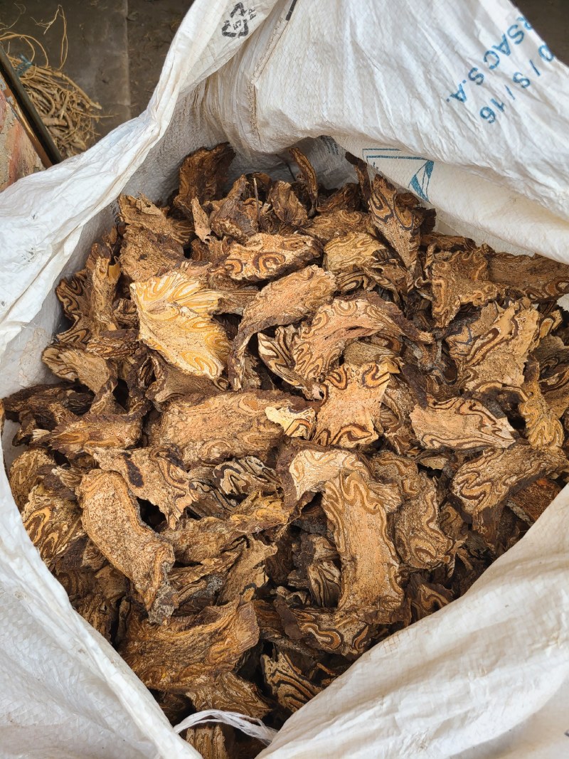 龙骨风飞天禽捞无硫足干新货无硫新货
