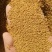 苜蓿籽苜蓿种子苜蓿草种子进口种子甘肃玉门大叶片苜蓿