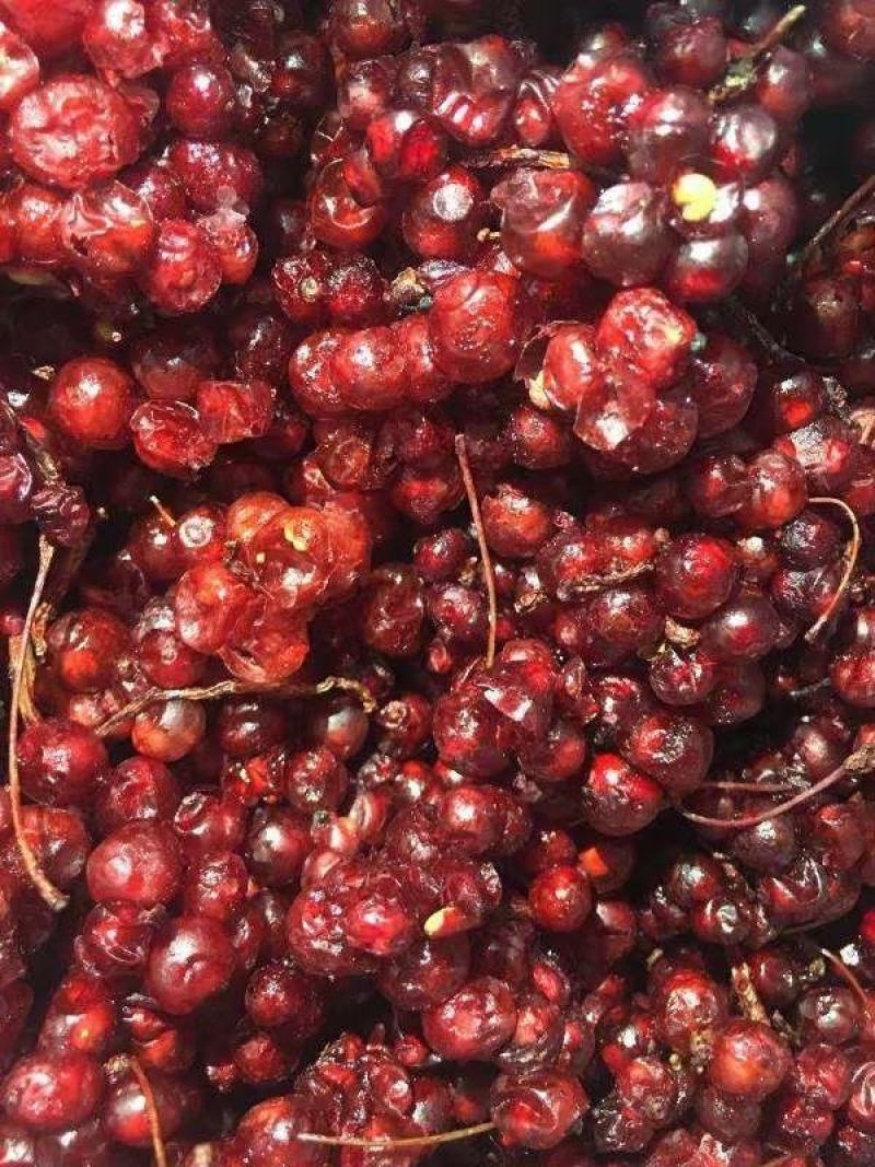 北五味子烘干干货辽五味子无硫干货药食同源
