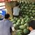陕西甜王西瓜大量上市，全国代收代发，对接各大商超，社团