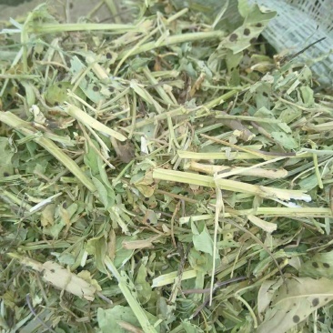 精品花生秧草料,细粉无土无霉草场直供牛羊马兔草