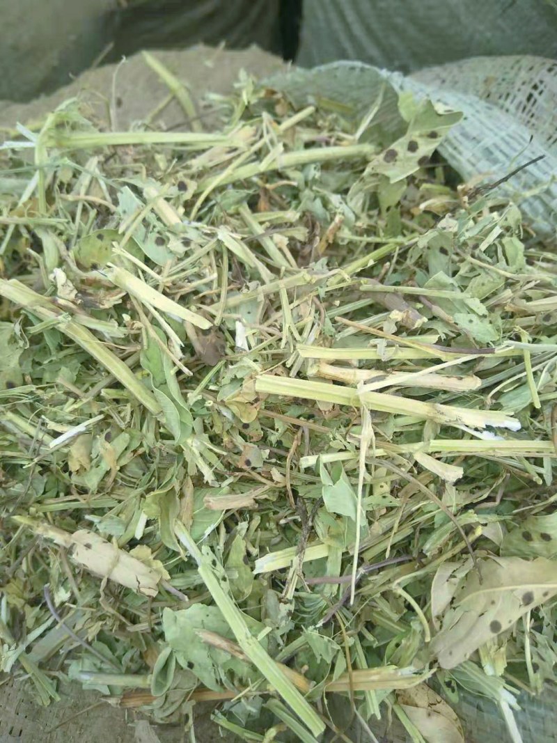 精品花生秧草料,细粉无土无霉草场直供牛羊马兔草
