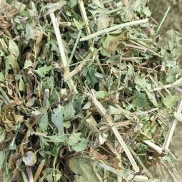 羊草:花生秧、玉米秸秆、大豆杆、大蒜皮量大从优