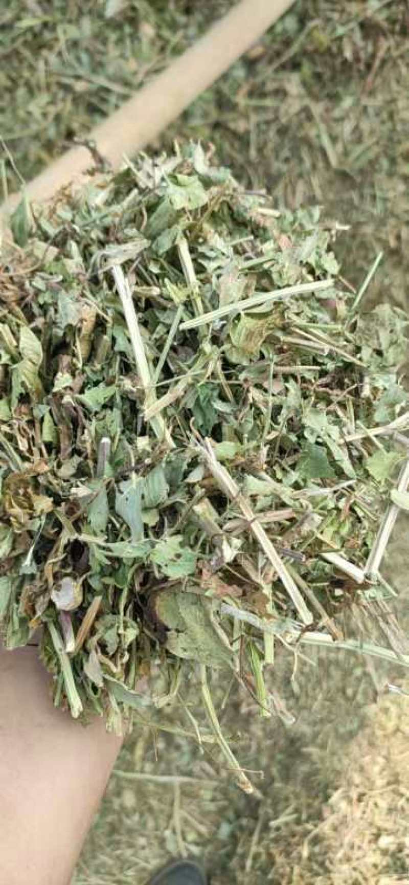 羊草:花生秧、玉米秸秆、大豆杆、大蒜皮量大从优