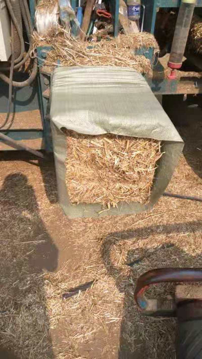 小麦秸秆:打捆、揉丝压块小麦秸秆，草场直销质量保证
