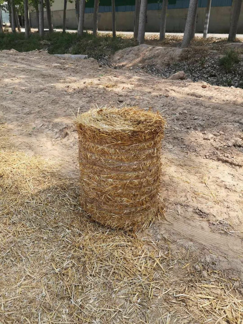 小麦秸秆:打捆、揉丝压块小麦秸秆，草场直销质量保证