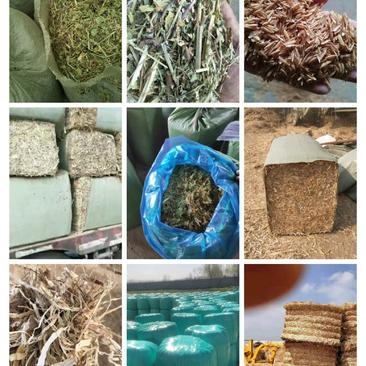 小麦秸秆:打捆、揉丝压块小麦秸秆，草场直销质量保证