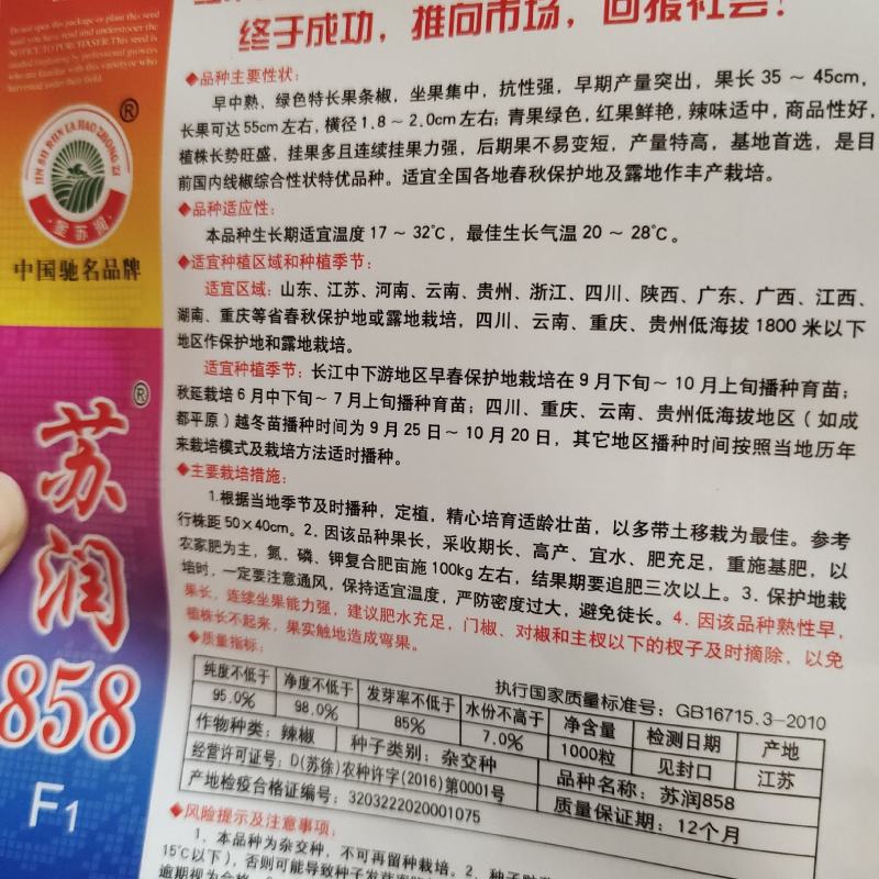 苏润858辣椒种子，抗病挂果多，果顺直，产量高，果型靓