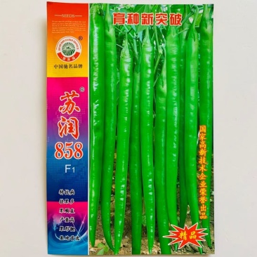 苏润858辣椒种子，抗病挂果多，果顺直，产量高，果型靓